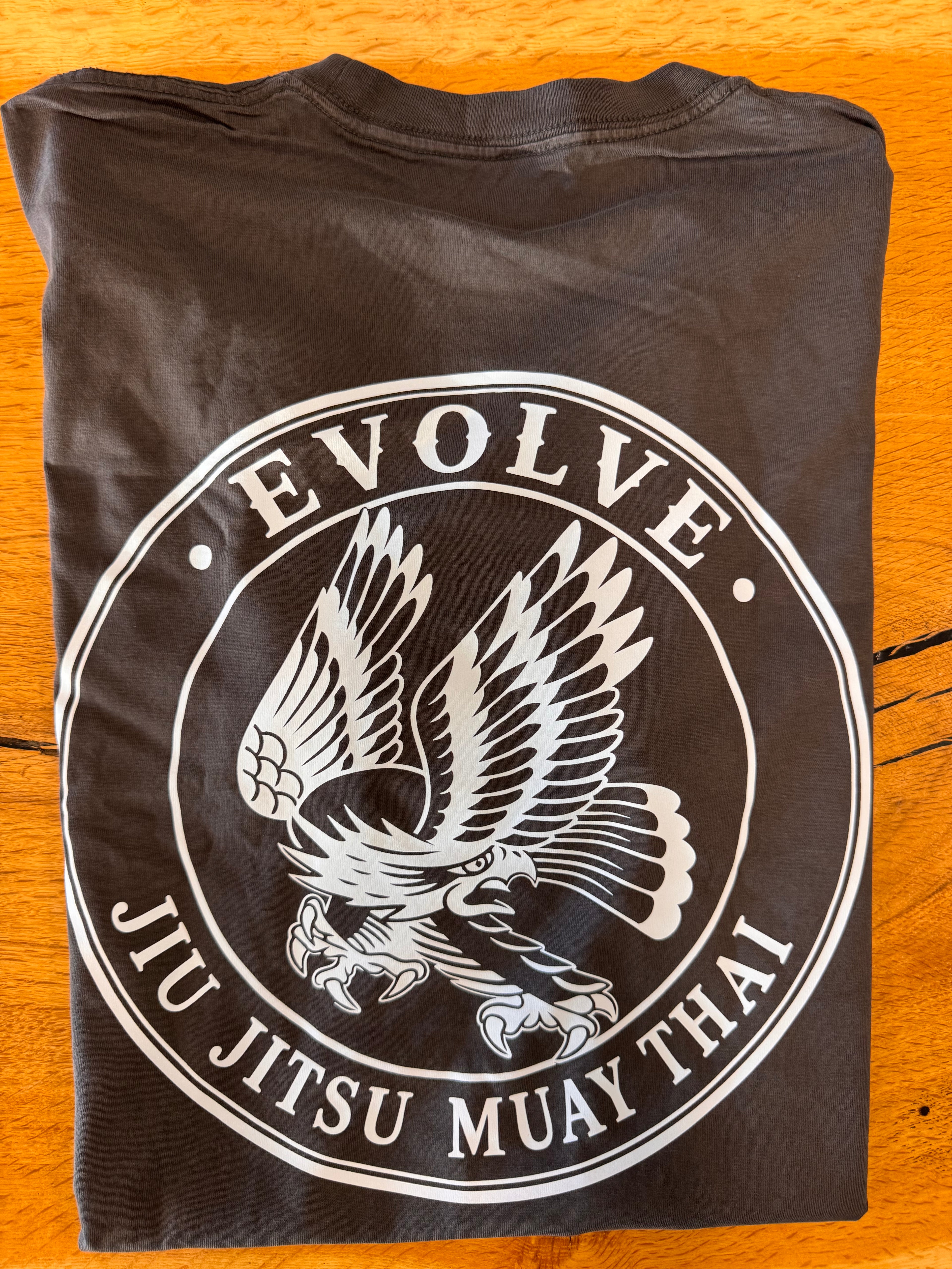 Evolve Grey Eagle